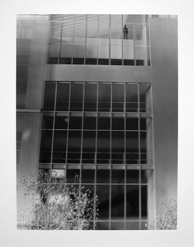 Close-up photograph of a building, plants in front, and a person on an upper floor.