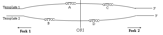 ocw-mobiosession2_quizzes_image.png