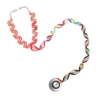 Stethoscope in the shape of a double helix.