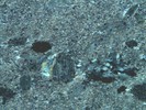 Sample MU-6 under crossed polarized light.