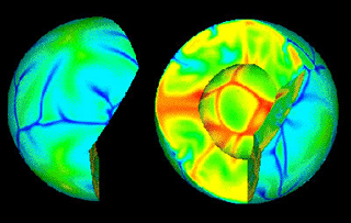 TERRA mantle convection model.