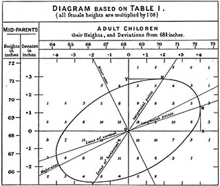 A black and white illustration of a graph, which has a large circle in the middle with lines radiating from a center point.