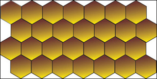 Image of a honeycomb, with four rows of hexagons.