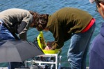 Working on the electronics case on top of the ROV.